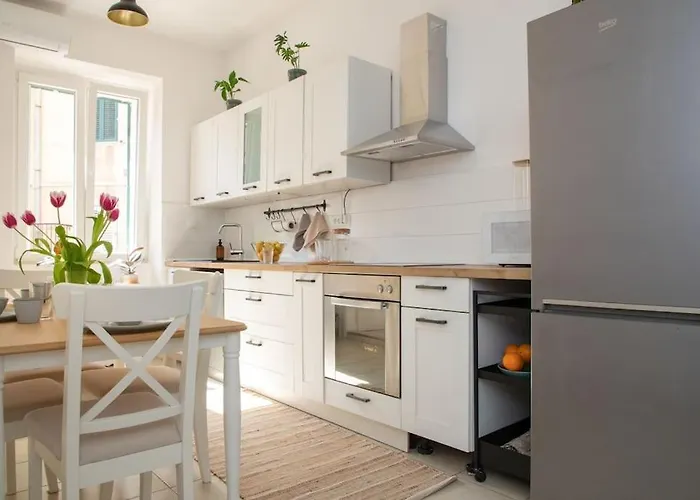 Brand New Center Nostalgija Split