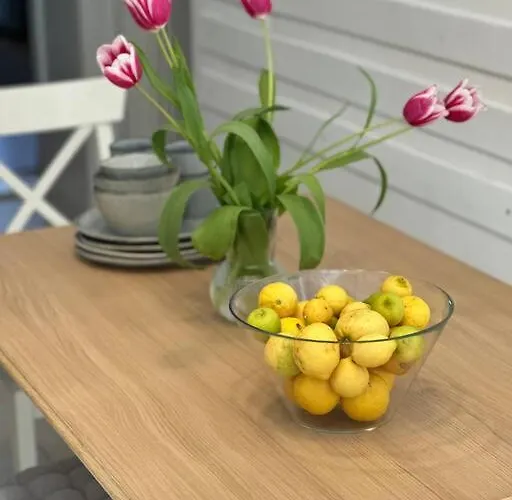 Lägenhet Brand New Center Nostalgija