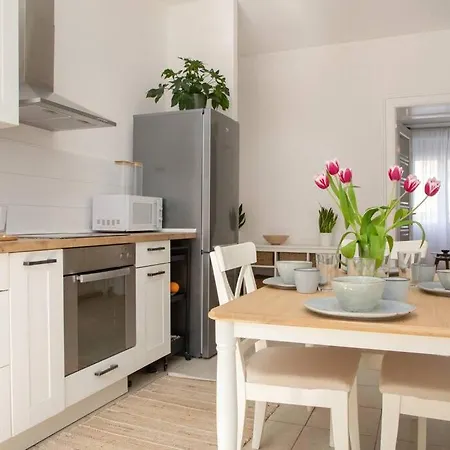 Brand New Center Nostalgija * 스플리트